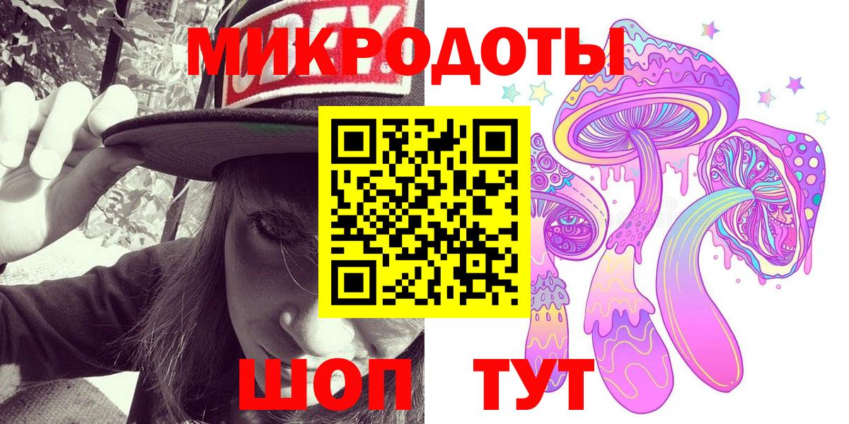 где купить наркоту  Вход с VPN  Братск  Псилоцибиновые грибы GOLDEN TEACHER 