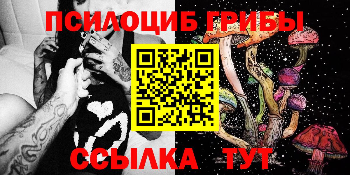 Галлюциногенные грибы прущие грибы Братск