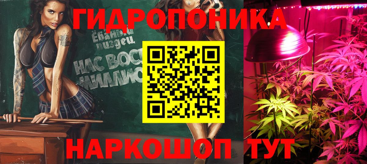 МАРИХУАНА конопля Братск